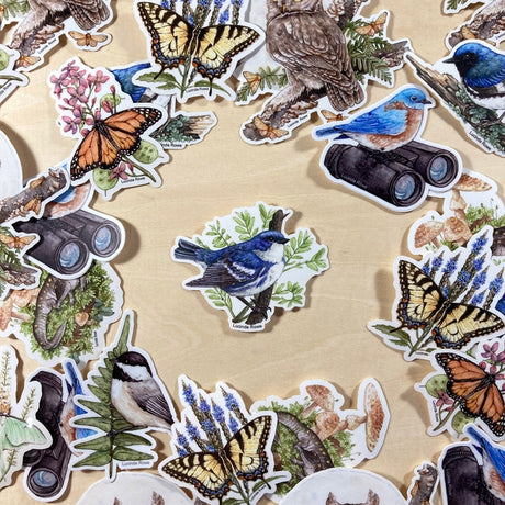 Cerulean Warbler Vinyl Sticker