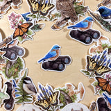 Pegatina de vinilo con pájaro azul oriental sobre binoculares 
