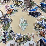Luna Moth On Black Cohosh Vinyl Sticker