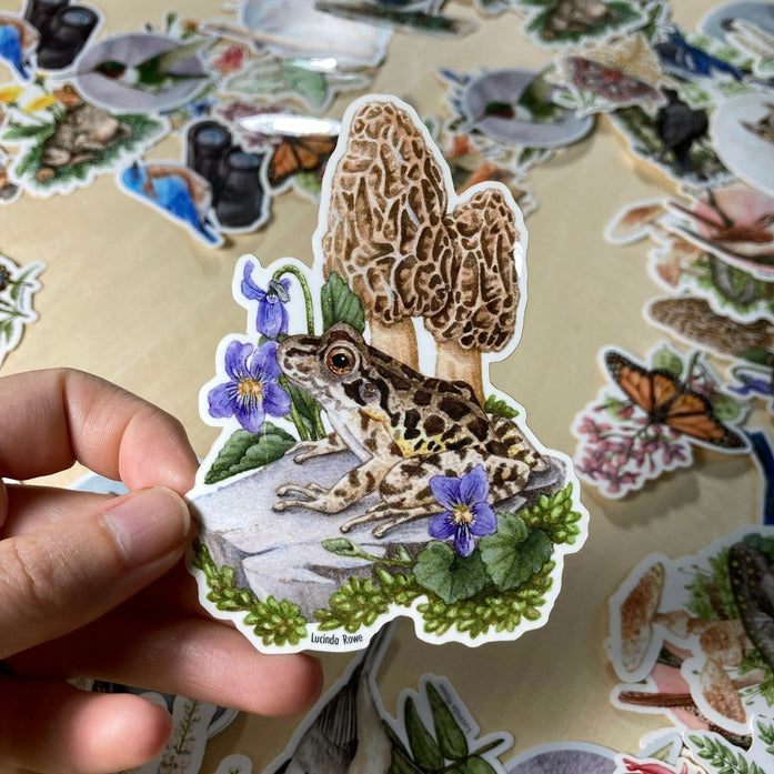 Pickerel Frog with Morels Vinyl Sticker