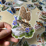 Pickerel Frog with Morels Vinyl Sticker