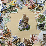 Pickerel Frog with Morels Vinyl Sticker