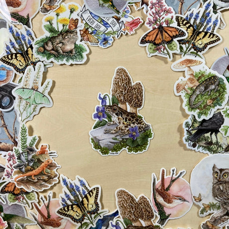 Pickerel Frog with Morels Vinyl Sticker
