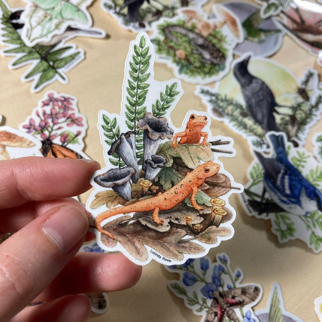 Red Efts with Trumpet Chanterelles Vinyl Sticker