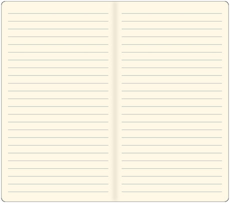 Voyager Lined Paper Refill (2-Pack)