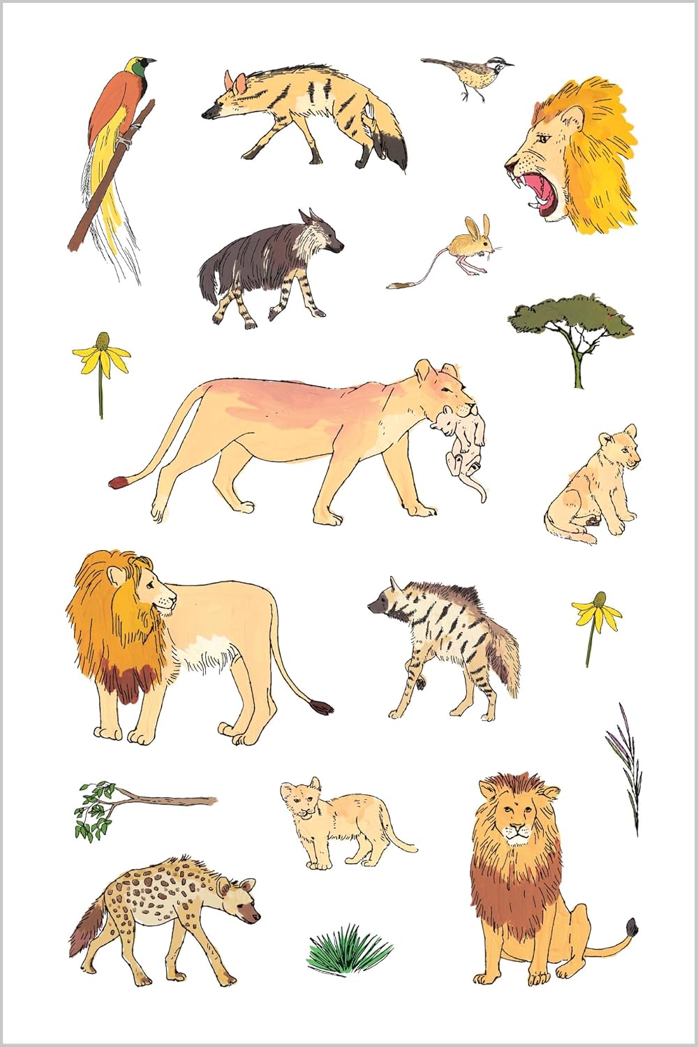 Wildlife Anatomy Sticker Book

Julia Rothman's Wildlife Anatomy illustrations are featured in this collection of more than 500 stickers, including amazing mammals, birds, amphibians, and insects from around the world. Beloved illustrator Julia Rothman's playful art of wild animals from around the world, first presented in her book Wildlife Anatomy, is featured on 500 colorful stickers, perfect for decorating surfaces and using in craft and collage projects. From the armadillo to the aye-aye, the ocelot to t