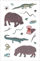 Wildlife Anatomy Sticker Book

Julia Rothman's Wildlife Anatomy illustrations are featured in this collection of more than 500 stickers, including amazing mammals, birds, amphibians, and insects from around the world. Beloved illustrator Julia Rothman's playful art of wild animals from around the world, first presented in her book Wildlife Anatomy, is featured on 500 colorful stickers, perfect for decorating surfaces and using in craft and collage projects. From the armadillo to the aye-aye, the ocelot to t