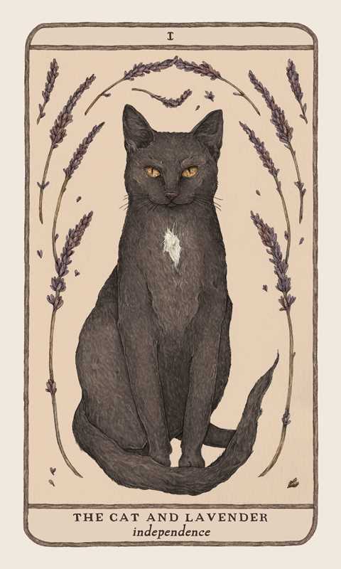 Woodland Wardens 52-Card Oracle Deck & Guidebook By Jessica Roux