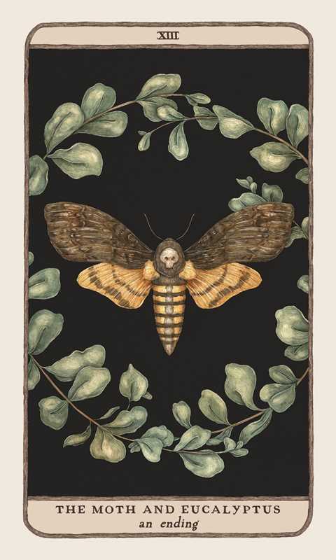 Woodland Wardens 52-Card Oracle Deck & Guidebook By Jessica Roux