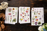 OURS Studio Flowers Sticker Pack