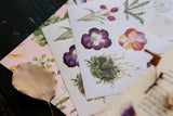 OURS Studio Flowers Sticker Pack