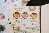 OURS Studio Flowers Sticker Pack