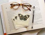 Black Butterfly Bookplate Sticker