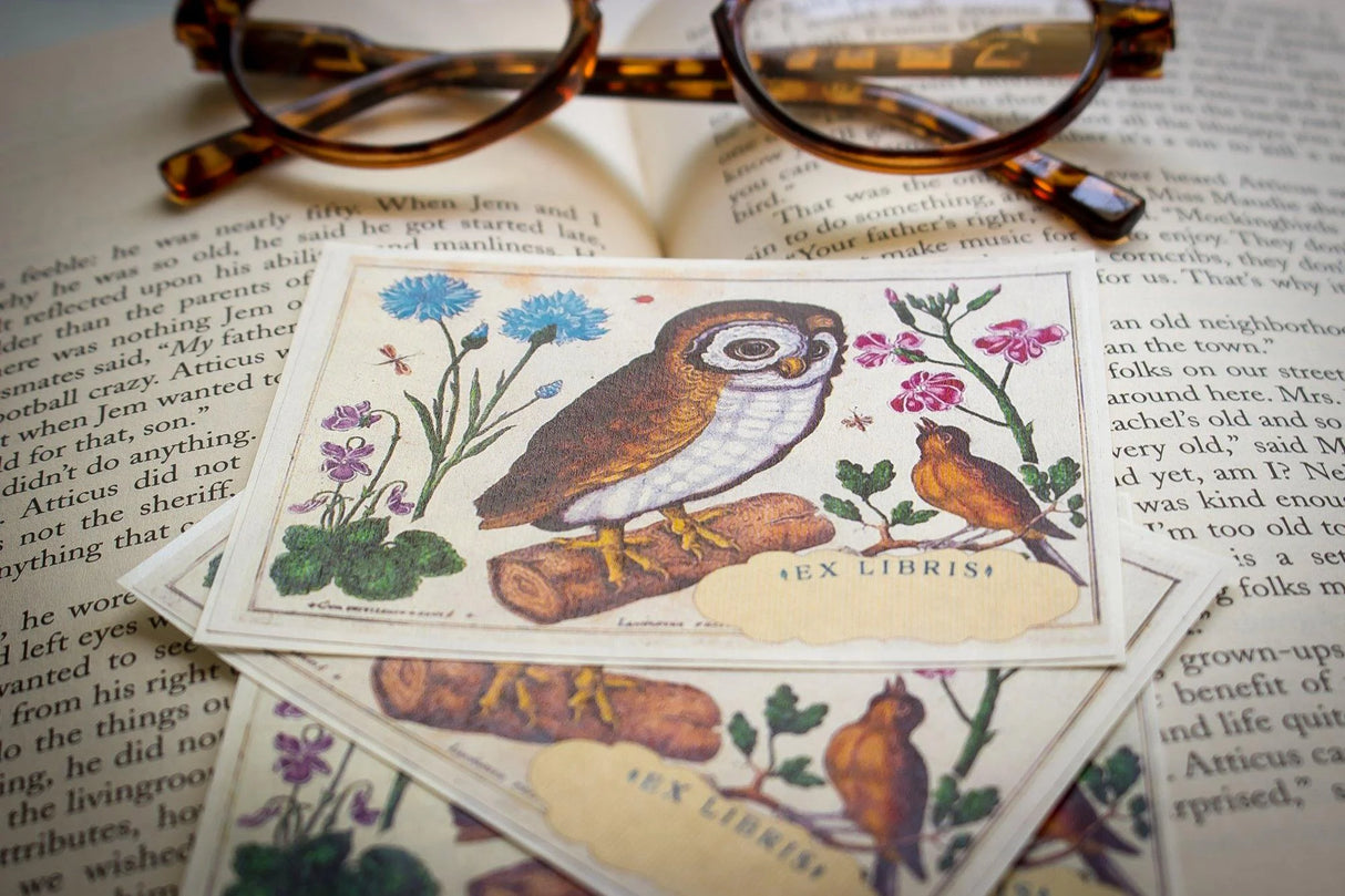 Botanical Owl Bookplate Sticker