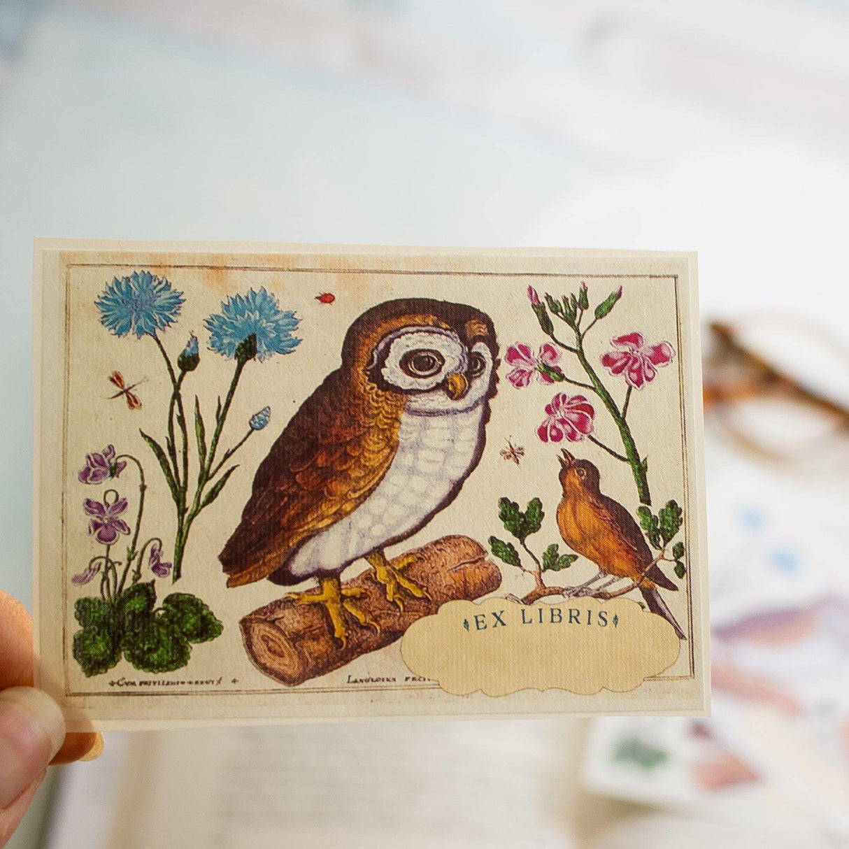 Botanical Owl Bookplate Sticker