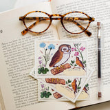 Botanical Owl Bookplate Sticker