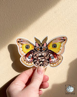 Paper Puffin - Moth Cat "Big Eyes" Vinyl Sticker