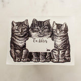 Three Cats Bookplate Sticker