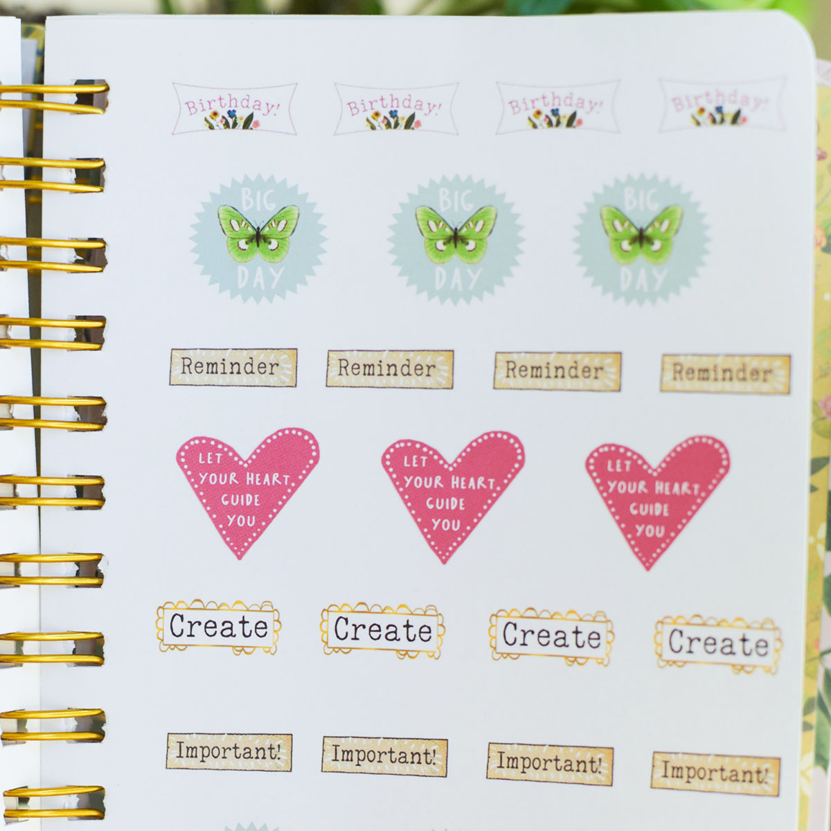Look For the Magic Undated Planner