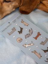 There, up in the sky! Dachshunds everywhere!

Kiss cut PET sticker sheet

Includes 1 sheet 7.5" x 3.5"