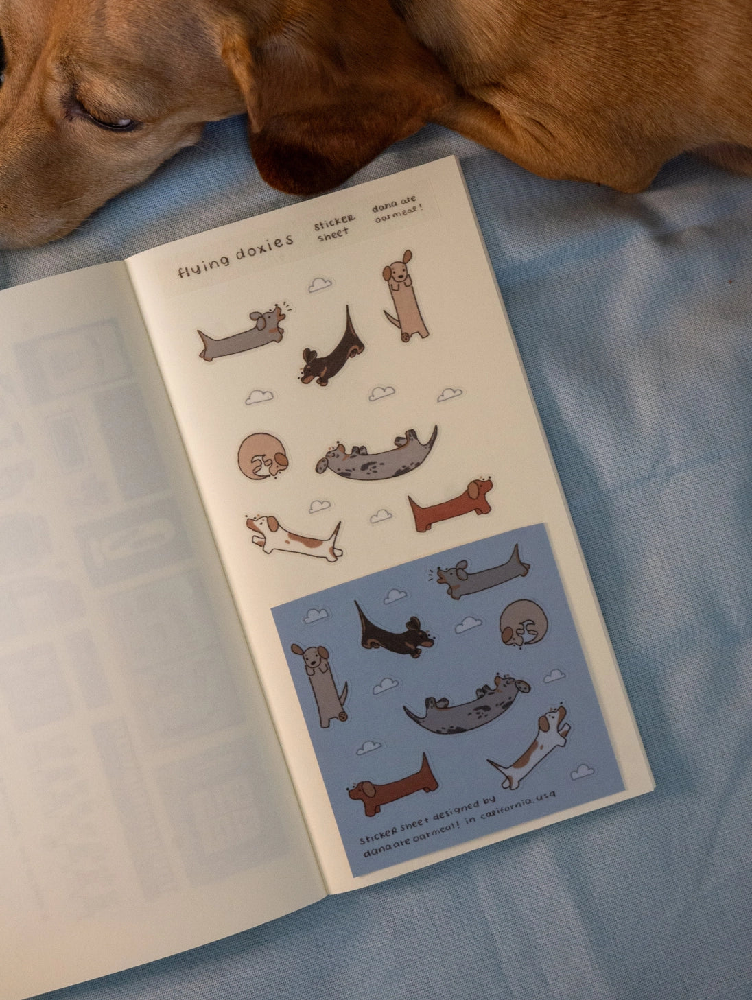 There, up in the sky! Dachshunds everywhere!

Kiss cut PET sticker sheet

Includes 1 sheet 7.5" x 3.5"