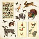 Zoological Ephemera Sticker Book (680+ stickers)
