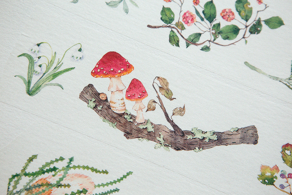 OURS Studio Wild Wreath 2 Washi Tape