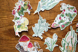 OURS Studio Wild Wreath 2 Washi Tape