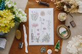OURS Studio Flowers Sticker Pack