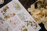OURS Studio Wild Wreath 2 Stamp Style Sticker