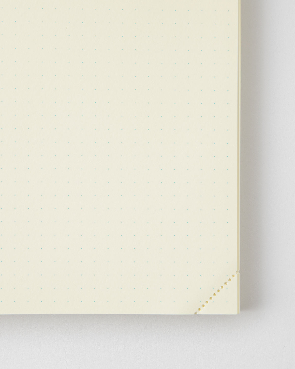 MD Notebook Codex 1 Day 1 Page A5 - Dot Grid
