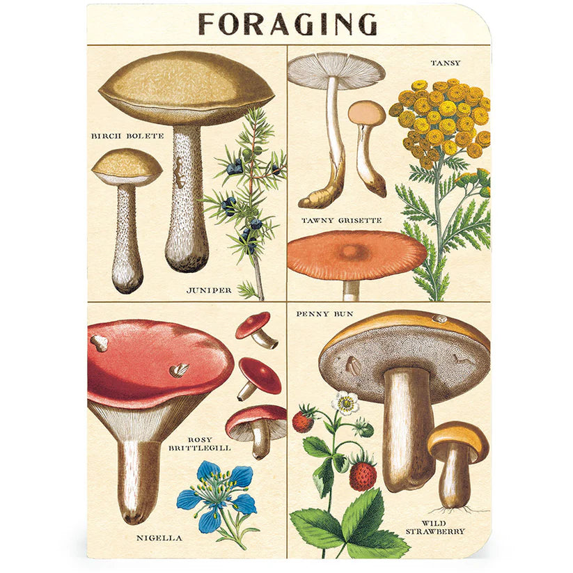 Cavallini & Co. 3 Mini Notebooks - Foraging