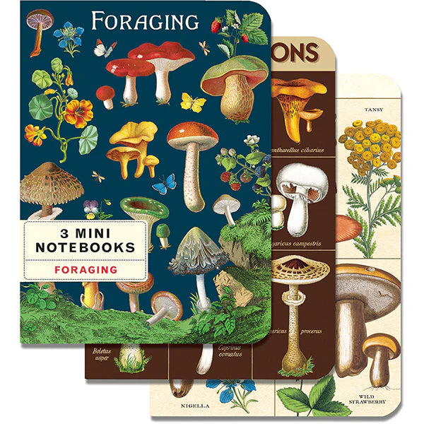 Cavallini & Co. 3 Mini Notebooks - Foraging