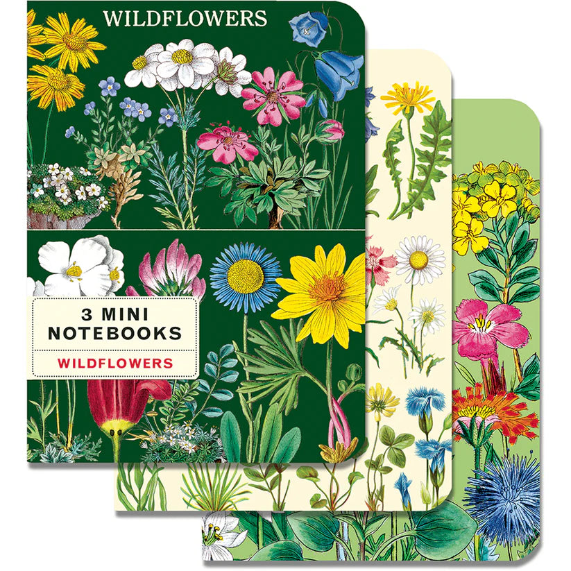 Cavallini & Co. 3 Mini Notebooks - Wildflowers 2