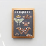 Juego de 8 cartas en caja para uso diario de Moonlit Moths