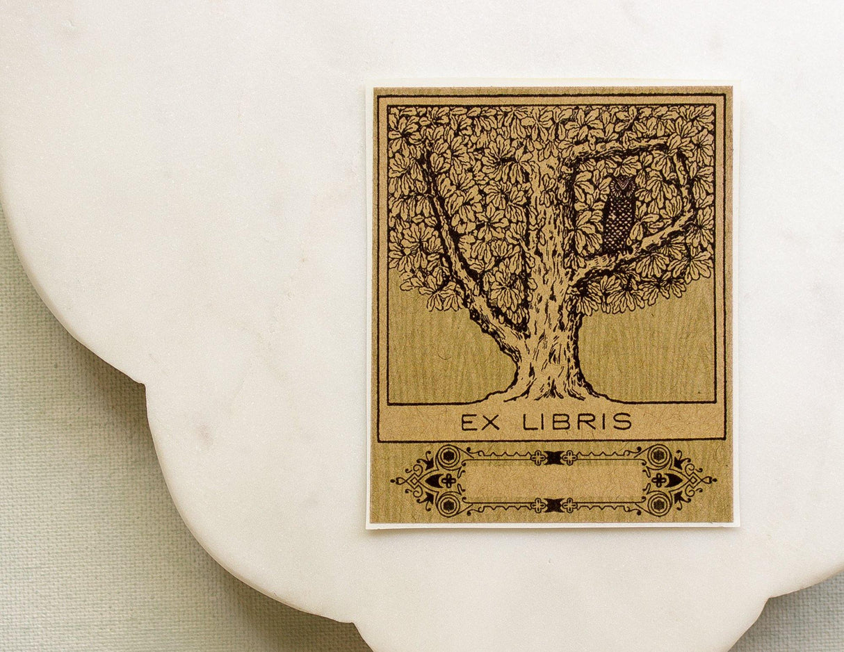 Owl in Tree Bookplate Sticker