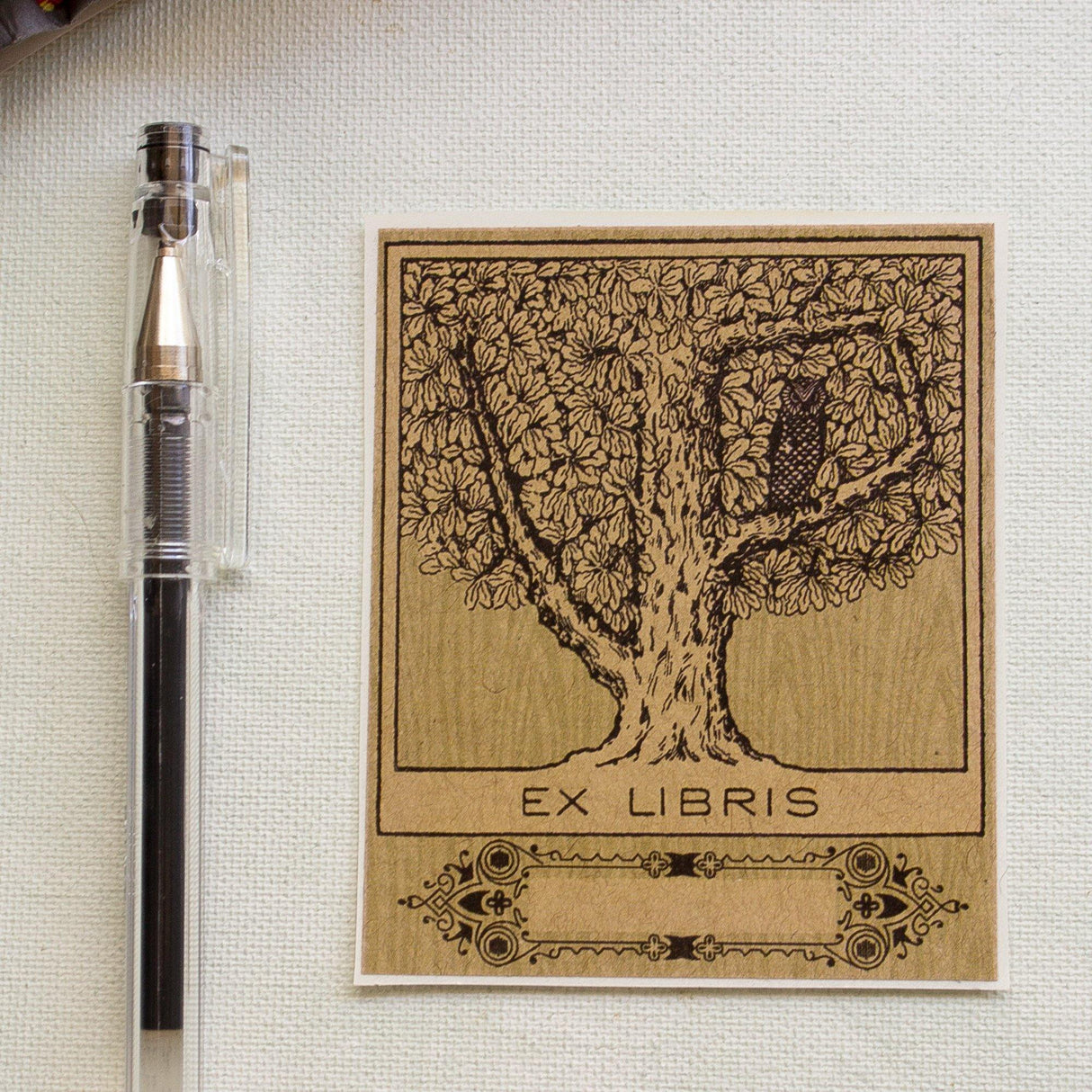 Owl in Tree Bookplate Sticker