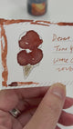 Little Craft Fest X TONO & LIMS Exclusive Ink - Desert Earth