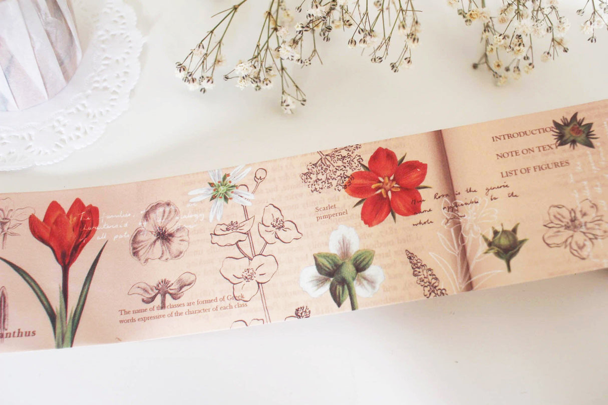 An Illustrated Guide Washi Tape