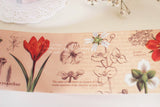 An Illustrated Guide Washi Tape