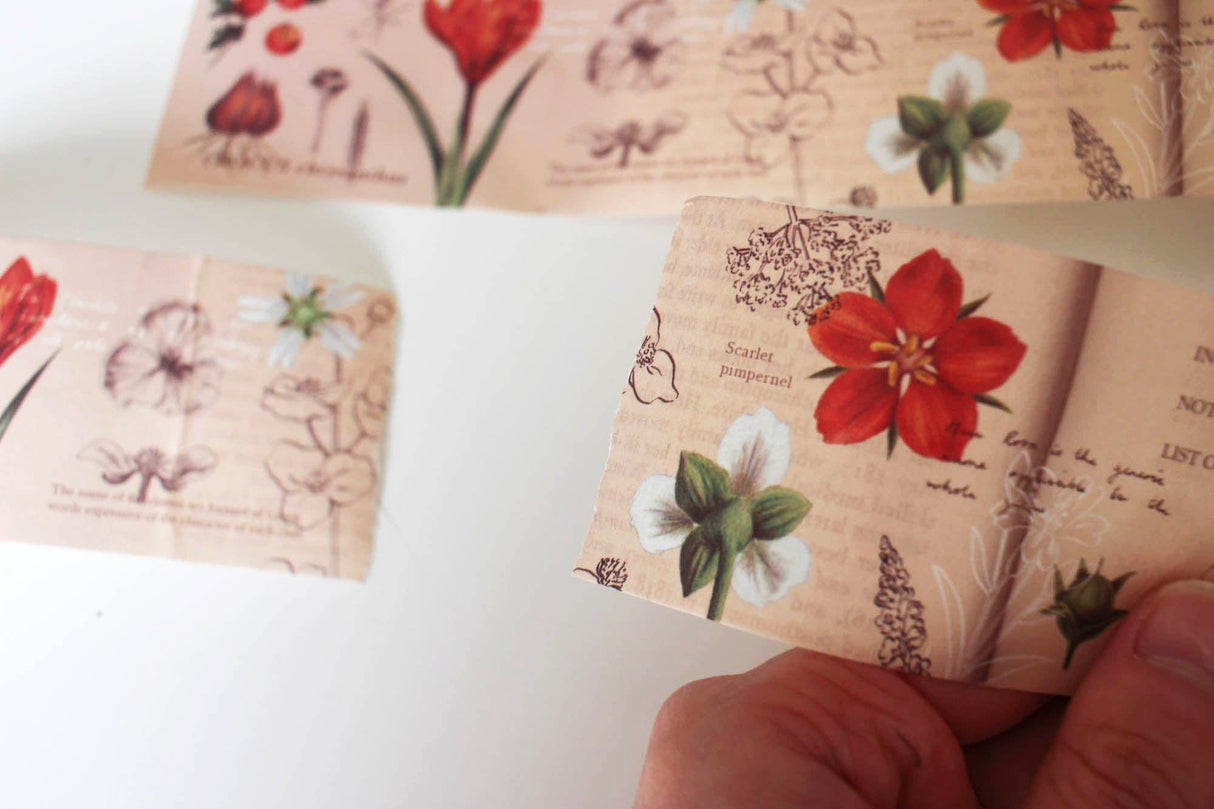 An Illustrated Guide Washi Tape