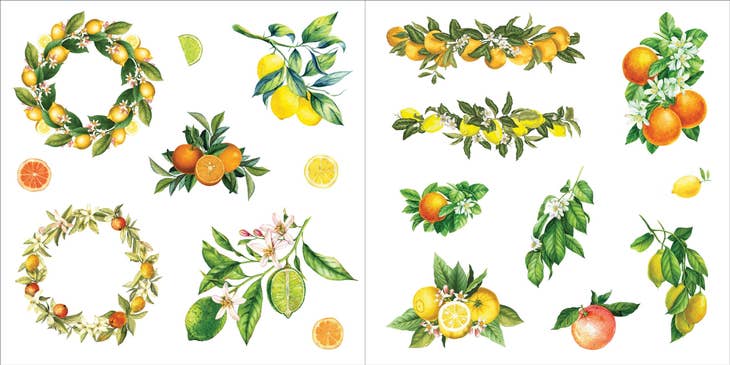 Libro de pegatinas Bunches of Botanicals (500 pegatinas)