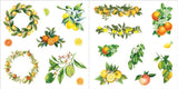 Libro de pegatinas Bunches of Botanicals (500 pegatinas)