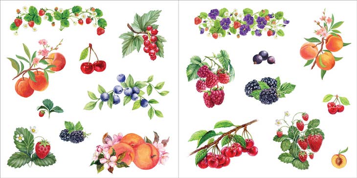 Libro de pegatinas Bunches of Botanicals (500 pegatinas)