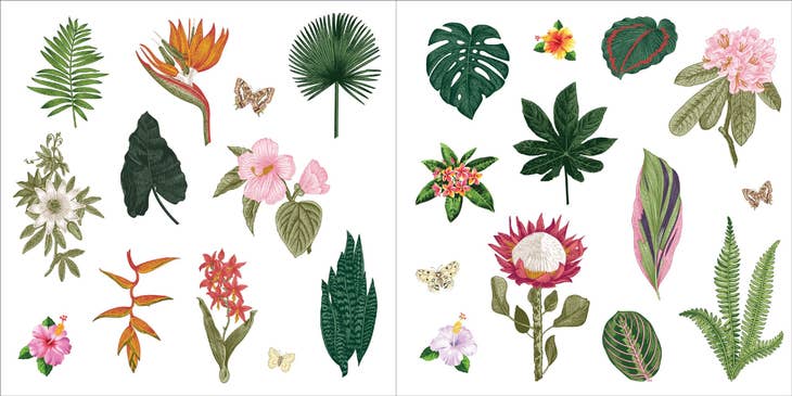 Libro de pegatinas Bunches of Botanicals (500 pegatinas)