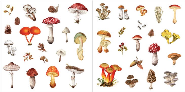 Libro de pegatinas Bunches of Botanicals (500 pegatinas)