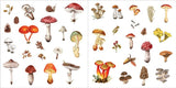 Libro de pegatinas Bunches of Botanicals (500 pegatinas)