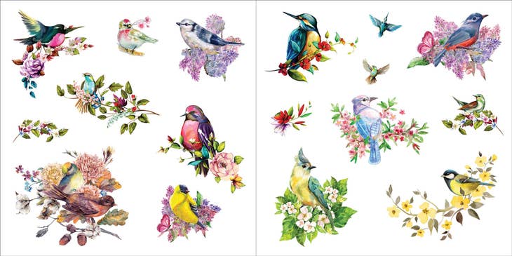 Libro de pegatinas Bunches of Botanicals (500 pegatinas)