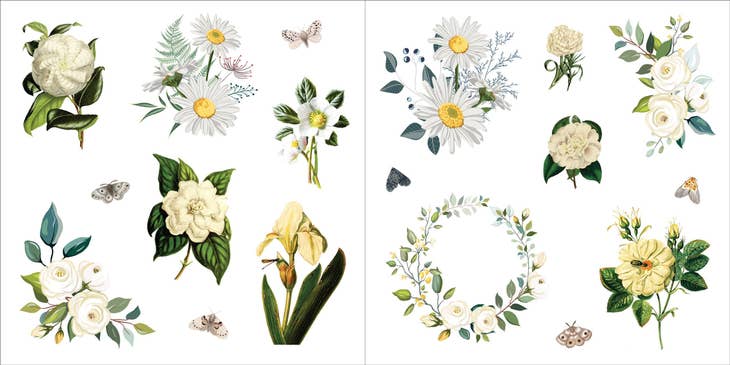 Libro de pegatinas Bunches of Botanicals (500 pegatinas)