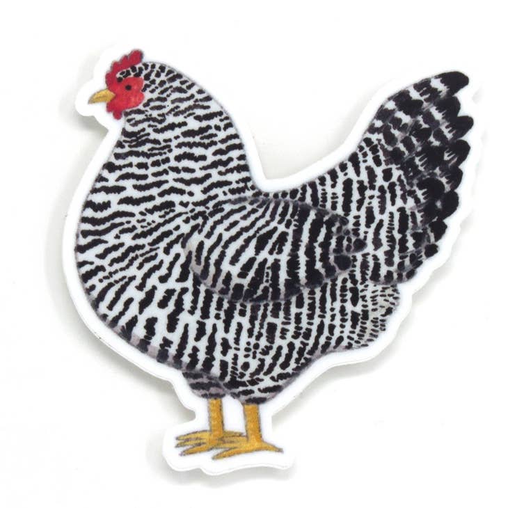 Pegatina de pollo 